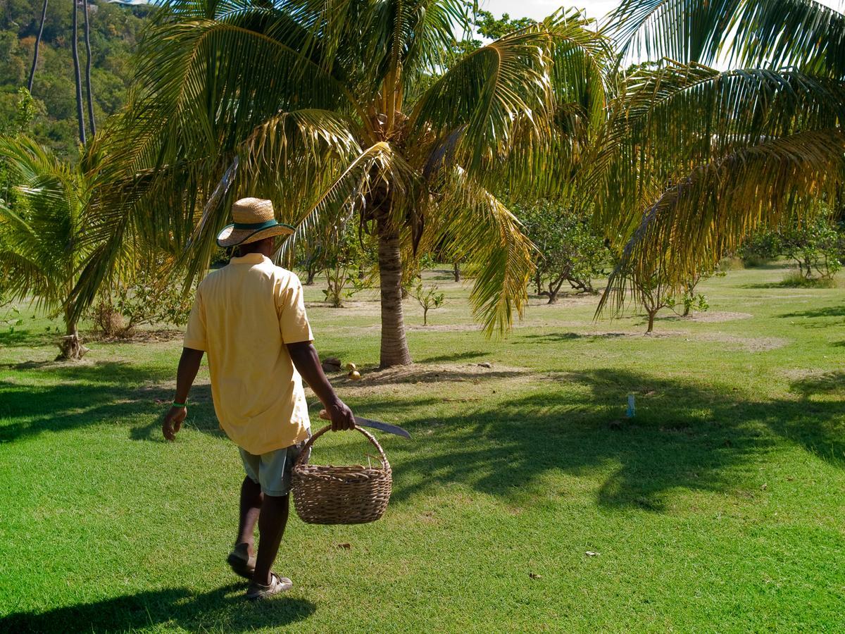 Firefly Estate Bequia Hotel Crescent Beach Exterior photo