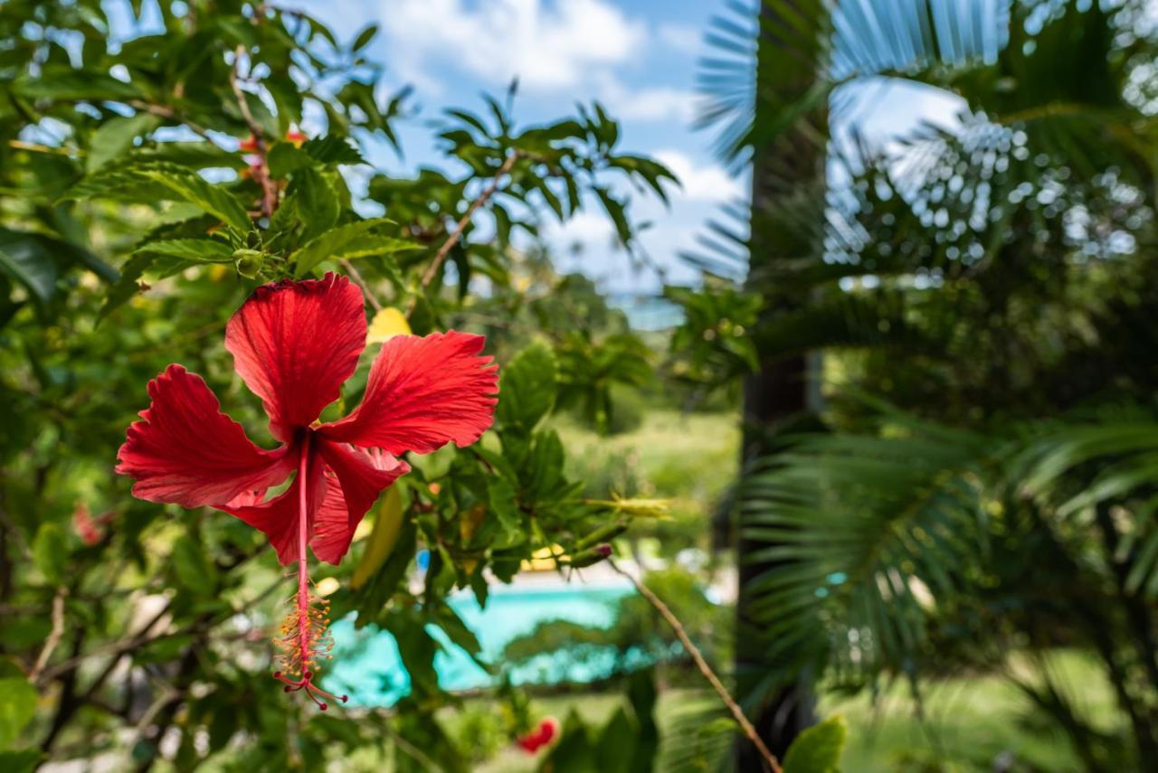 Firefly Estate Bequia Hotel Crescent Beach Exterior photo